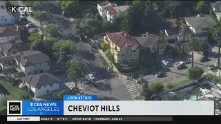 Cheviot Hills | Look At This!