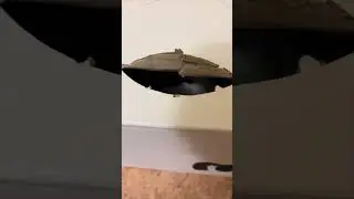 Katze in einer Kiste schnappt sich alle Gegenst&auml;nde, die ihr Besitzer anbietet