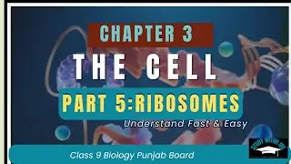 Ribosomes | Class 9 Biology Urdu | Structure + Function