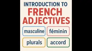 Les Adjectifs en Francais: Une introduction comprehensive