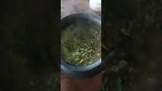 zizzling  monggo  with wild vine flowers /telosma procumbens