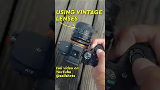 Shooting with vintage lenses is  a blast! Highly suggest everyone try it! Shot with canon FD glass