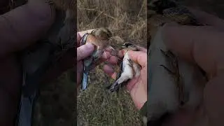 Обзор парикмахеров 🤣🤣🤣 Зяблик и Вьюрок 🤘🤘🤘