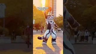 Furry dancing in the sunset！？