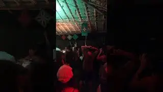 Paper Queen Is Live On Reggae Music|| Twice In Nature, Arambol, Goa, India -  2024