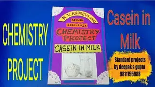 casein in milk project #chemistryproject #casein #cbseprojects #chemistryclass12 #schoolproject #12