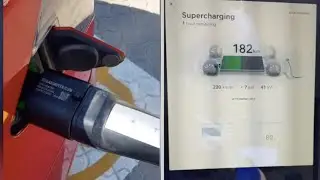 TeslaAdapter Type II in action(video of customer from Jordan)|شحن الأمريكية تسلا على الشحان الأوروبي