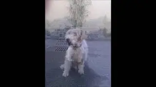 Notre bébé d'amour