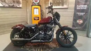 2019 Harley-Davidson Sportster Iron 1200 XL1200NS-Twisted Cherry