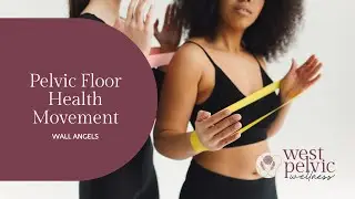 Pelvic Floor Health Exercises | Wall Angels for Core, Posture & Pressure Management