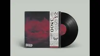 [Free] Guitar Sample Kit 2022  