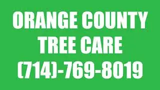 Orange County Tree Care | (714)-769-8019 | Licensed & Insured | Free Estimates!