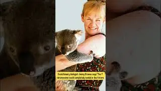 🧬 Is the Y Chromosome Dying? The Shocking Truth About Human Evolution