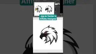 Convert JPG to Vector in Affinity Designer