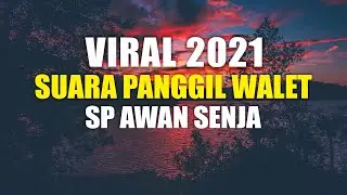 LIMIT EDITION | SUARA PANGGIL WALET 2021 TERBARU | SP AWAN SENJA