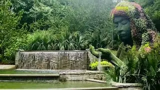 Atlanta Botanical Garden Goddess Waterfall | Soothing Water Soundscape