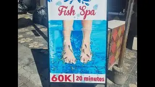 Fish Spa - Seminyak, Bali (December2027)