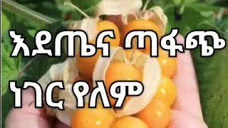 Hayat Abdu tube is live!እዚች ዱኒያላይ እደጤና ጣፋጭ ነገር የለም አላህ ጤና ይስጠን