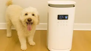 Provirtec Pet Air Purifier - Best Pet Air Purifier