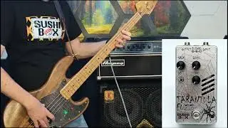 Sushi Box FX - Tarantula Fuzz Teaser