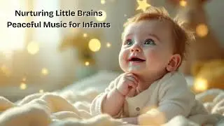 Baby Brain Development Music &ndash; 60 Minutes Cognitive Development Music for Infants 3+ Months