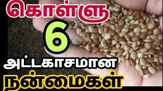 கொள்ளு பயன்கள் | kollu benefits tamil | horse gram benefits tamil | weight loss food| உடல் எடை குறைய