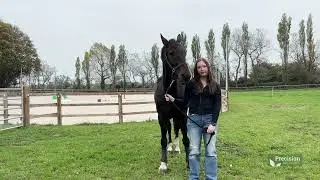Happier, Healthier, Shinier Horses | Ciara Lawton&rsquo;s Precision Microbes Story