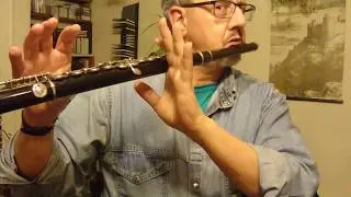 Flute Support 1 - short demonstration.