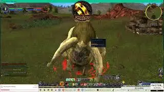Epic Book Quests + Friendly Chaos | LOTRO With a Friar (Ep. #14)