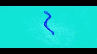 daddy's artificial spine (flashing colors - strobing effects)