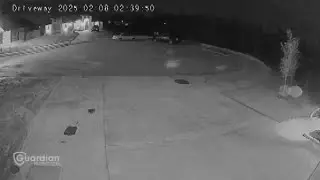 Fort Worth officials say they will help secure dogs running in packs in Godley