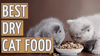 ⭐️ Best Dry Cat Food: TOP 9 Dry Cat Foods of 2018 ⭐️