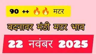 22 November 2025 || badnawar mandi matar bhav || 