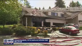 Homeowners, pets survive Bellevue house fire | FOX 13 Seattle