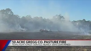 Gregg County firefighters contain 10-acre grass fire