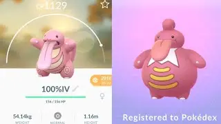 PERFECT IV LICKILICKY - POKEMON GO