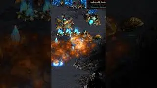Can Shy's one reaver hold Jaedong's attack? | #falconpaladin #starcraft #broodwar #gaming #pcgaming