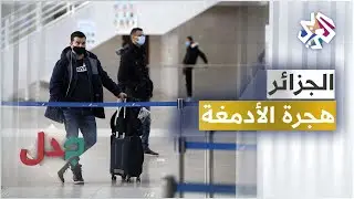 هجرة الكفاءات الجزائرية .. أرقام صادمة في انتظار الحلول