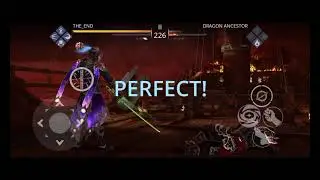 Void's Dream lvl6 VS Dragon Ancestor | Shadow Fight 3 