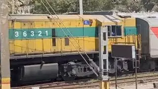 CHEDDAR YELLOW SHUNTER ENGINE SHUNTS LHB TRAIN AT TERMINUS YARD WDS6AD 36321