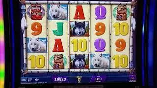 Betting for Bisquits is risking it on Wolf Run Gold at Blue Lake Casino Hotel in Humboldt County CA