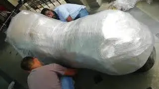 Best Bike Packing and Moving Services - ShiftingWale.Com