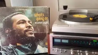 DJ. Born Too Late