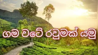 අපේ ගමේ ලස්සන 🌱🌞🌻