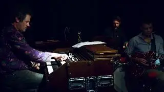 Lost Organ Unit  - Blue Morpho
