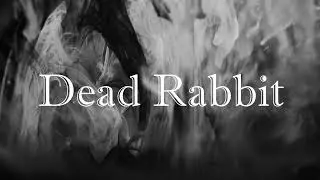 Dead Rabbit - LUX MEVIUS