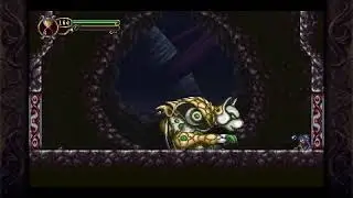 Timespinner - Battle Savant Achievement