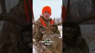 У гигантского оленя отвалился рог! История безумной охоты на оленя