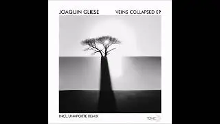 Joaquin Gliese - Veins Collapsed (Original Mix)
