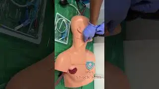 SHOCK MAN - IJV & Subclavian CVP catheter insertion manikin. Opsys simulations